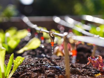 Get Higher Yields with Drip Irrigation System Installation!