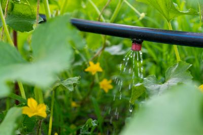 Deliver Small Amounts of Water Directly to the Plant Roots!