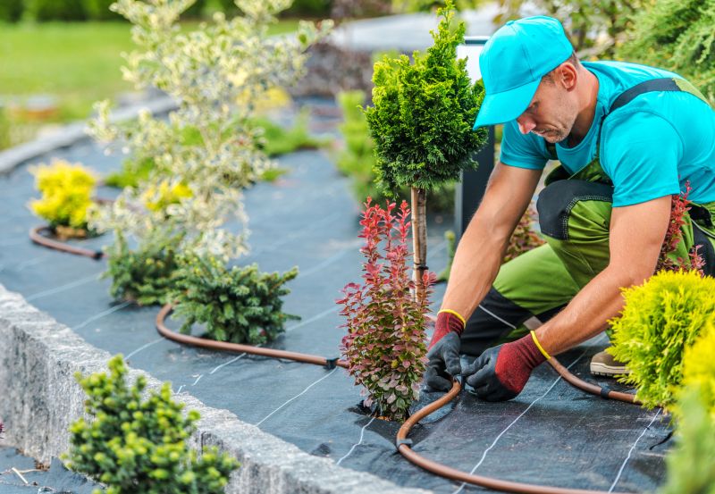 Drip Irrigation Installation