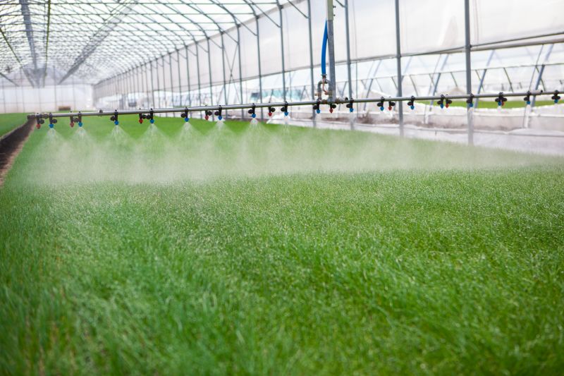 Commercial Irrigation Service in Honolulu, HI