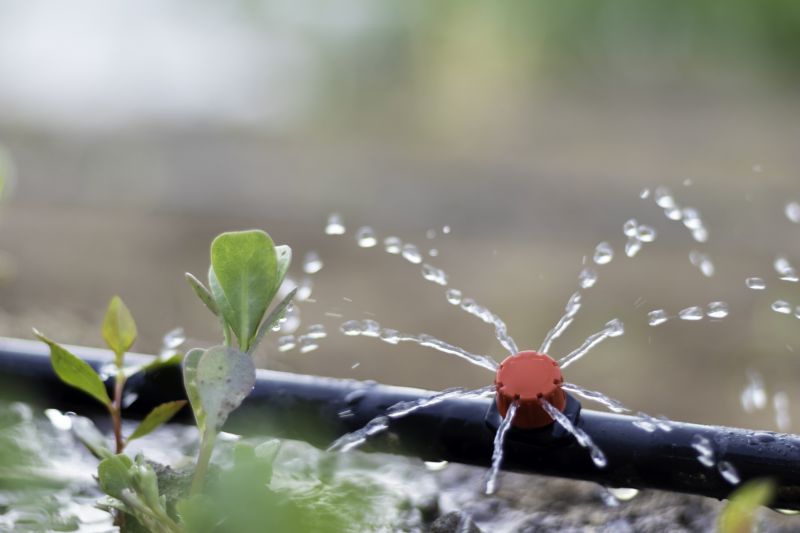 Drip Irrigation Installation in Ventura County, CA