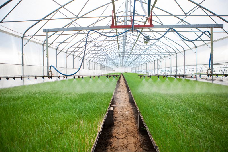 Garden Irrigation Installation in Ventura County, CA