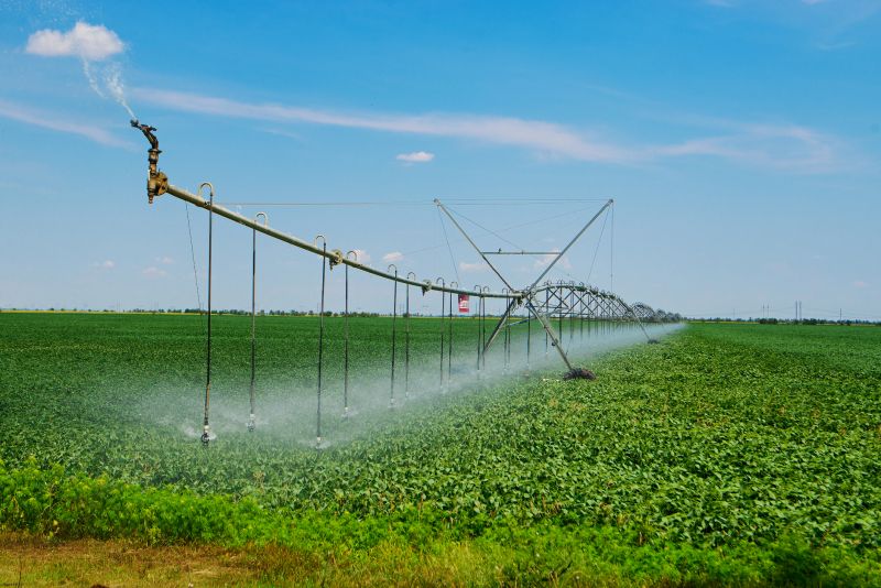 Irrigation Service in Aiken, SC