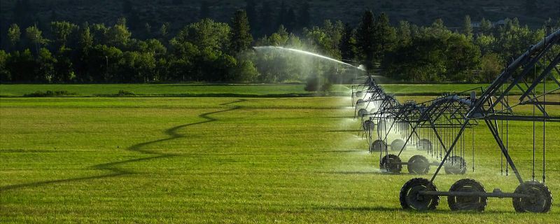 Lawn Irrigation Installation in Aiken, SC
