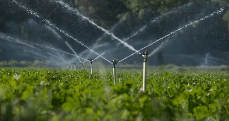 Plant Irrigation Installation in Aiken, SC