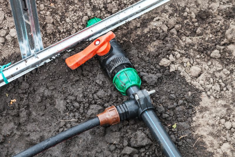 Watering System Installation in Honolulu, HI