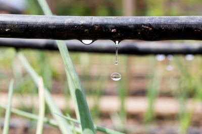 Ensure Your Plants Get the Right Amount of Water with Drip Irrigation System Installation!