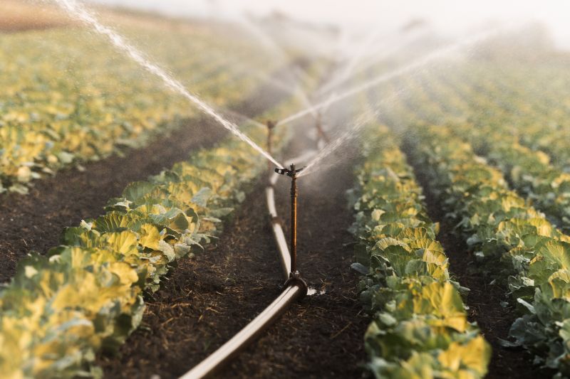 Plant Irrigation Installation in Aiken, SC
